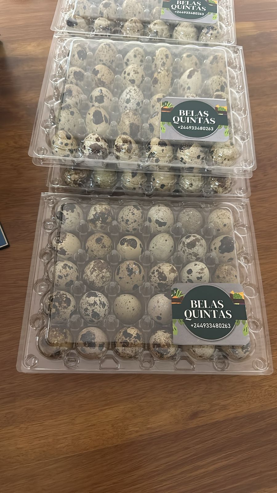 30 Ovos de codorniz